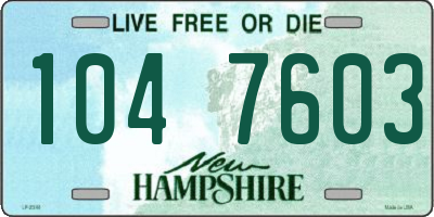 NH license plate 1047603