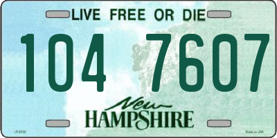 NH license plate 1047607