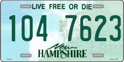 NH license plate 1047623
