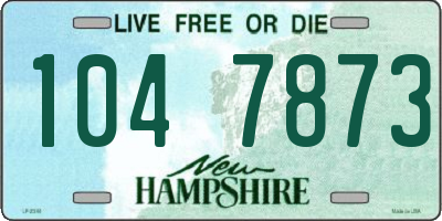 NH license plate 1047873