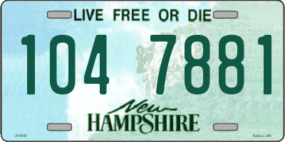 NH license plate 1047881