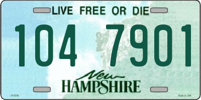 NH license plate 1047901