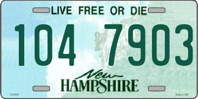 NH license plate 1047903