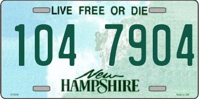 NH license plate 1047904