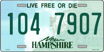 NH license plate 1047907