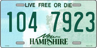 NH license plate 1047923