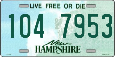 NH license plate 1047953