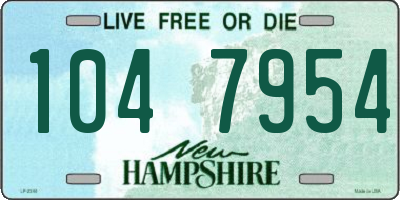 NH license plate 1047954
