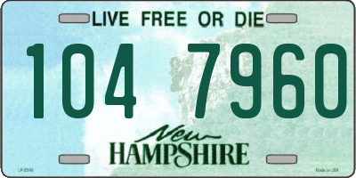 NH license plate 1047960