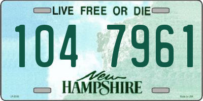 NH license plate 1047961