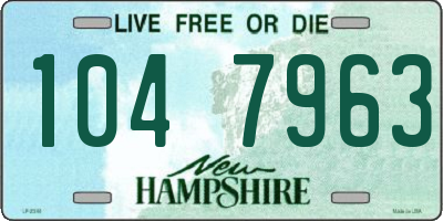 NH license plate 1047963