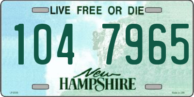 NH license plate 1047965