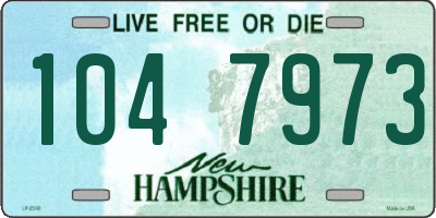 NH license plate 1047973