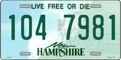 NH license plate 1047981