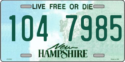 NH license plate 1047985