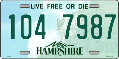 NH license plate 1047987