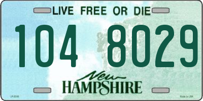 NH license plate 1048029