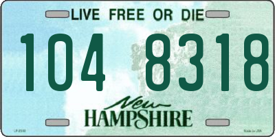 NH license plate 1048318