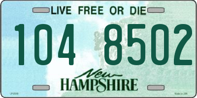 NH license plate 1048502