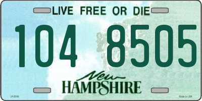 NH license plate 1048505