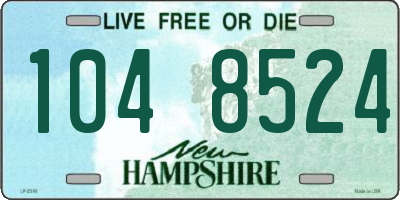 NH license plate 1048524