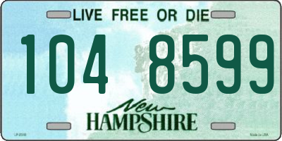 NH license plate 1048599