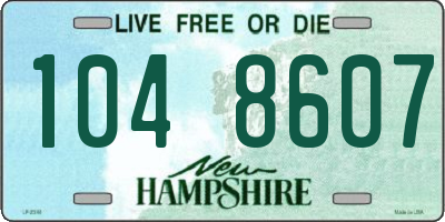 NH license plate 1048607