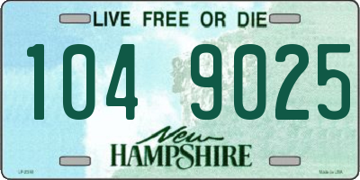 NH license plate 1049025