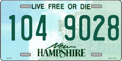 NH license plate 1049028