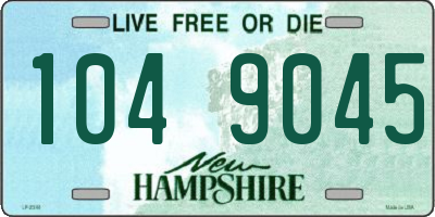 NH license plate 1049045