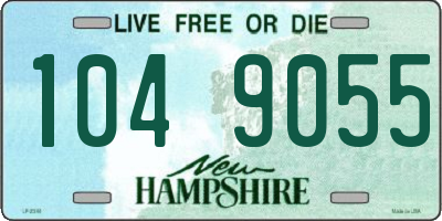 NH license plate 1049055