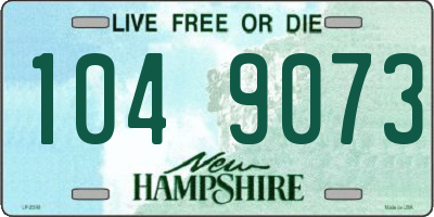 NH license plate 1049073