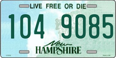 NH license plate 1049085