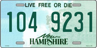 NH license plate 1049231