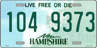 NH license plate 1049373