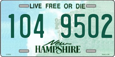 NH license plate 1049502