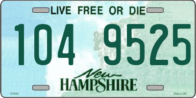 NH license plate 1049525