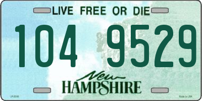 NH license plate 1049529
