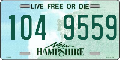 NH license plate 1049559
