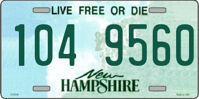 NH license plate 1049560