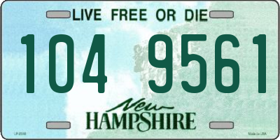 NH license plate 1049561