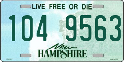 NH license plate 1049563