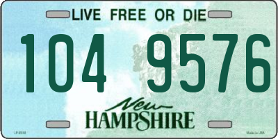 NH license plate 1049576