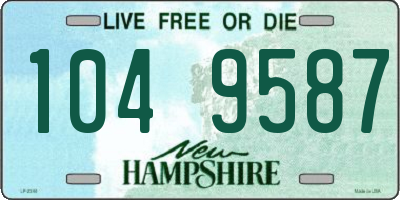 NH license plate 1049587