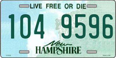 NH license plate 1049596