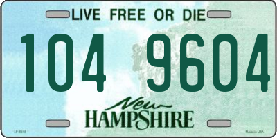NH license plate 1049604