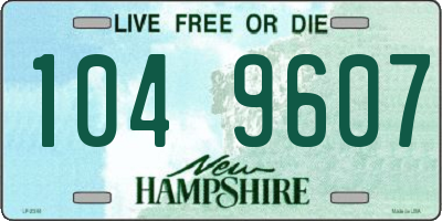 NH license plate 1049607