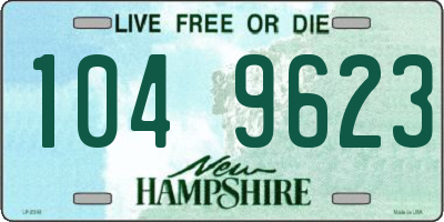 NH license plate 1049623