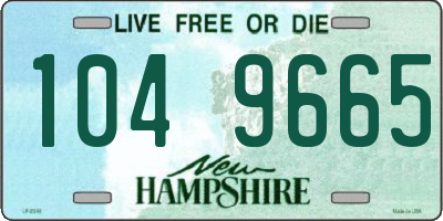 NH license plate 1049665