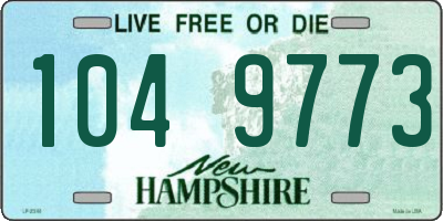 NH license plate 1049773